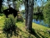 Stuga i Njurunda